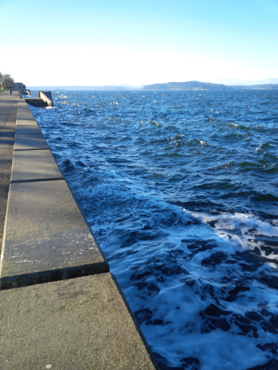 refreshing walk on new year's eve