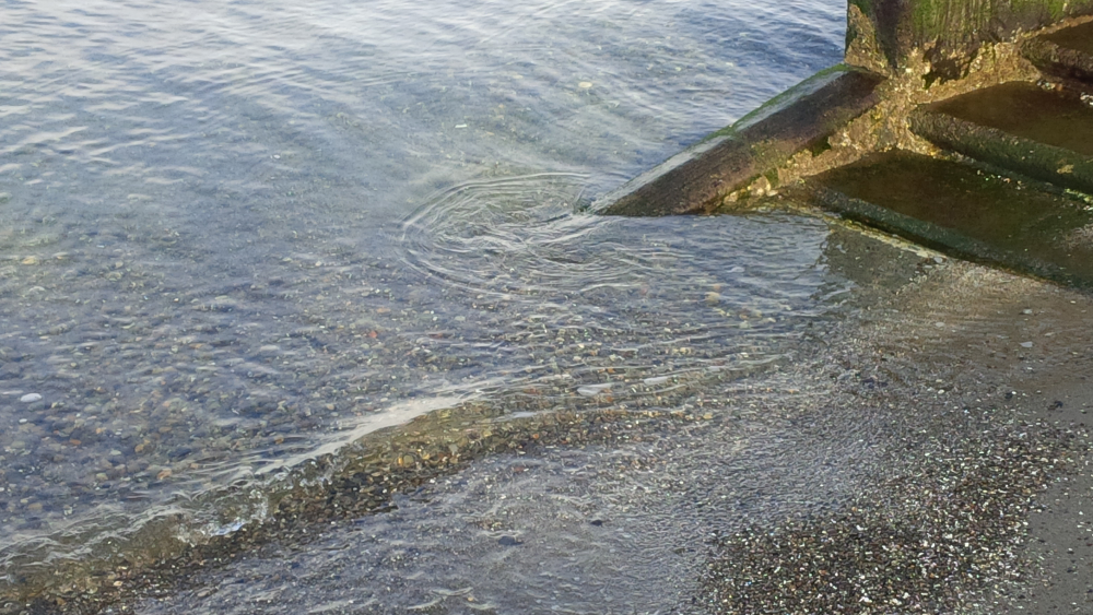 multi-directional water watching